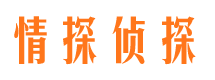 柳河市婚姻调查